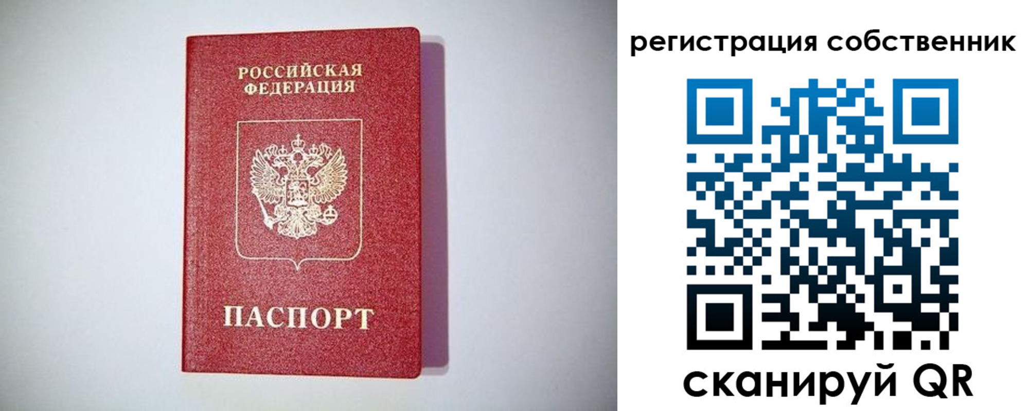 временная регистрация для школы в Пущино